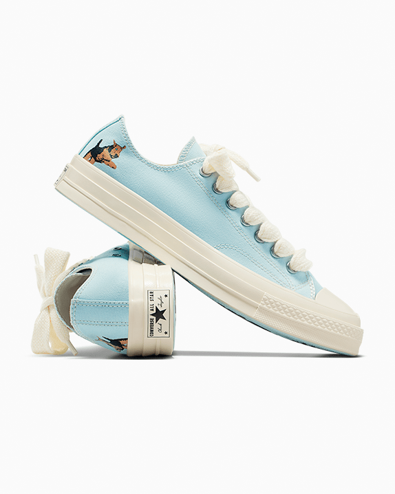 Converse x GOLF le FLEUR* Darryl Chuck 70